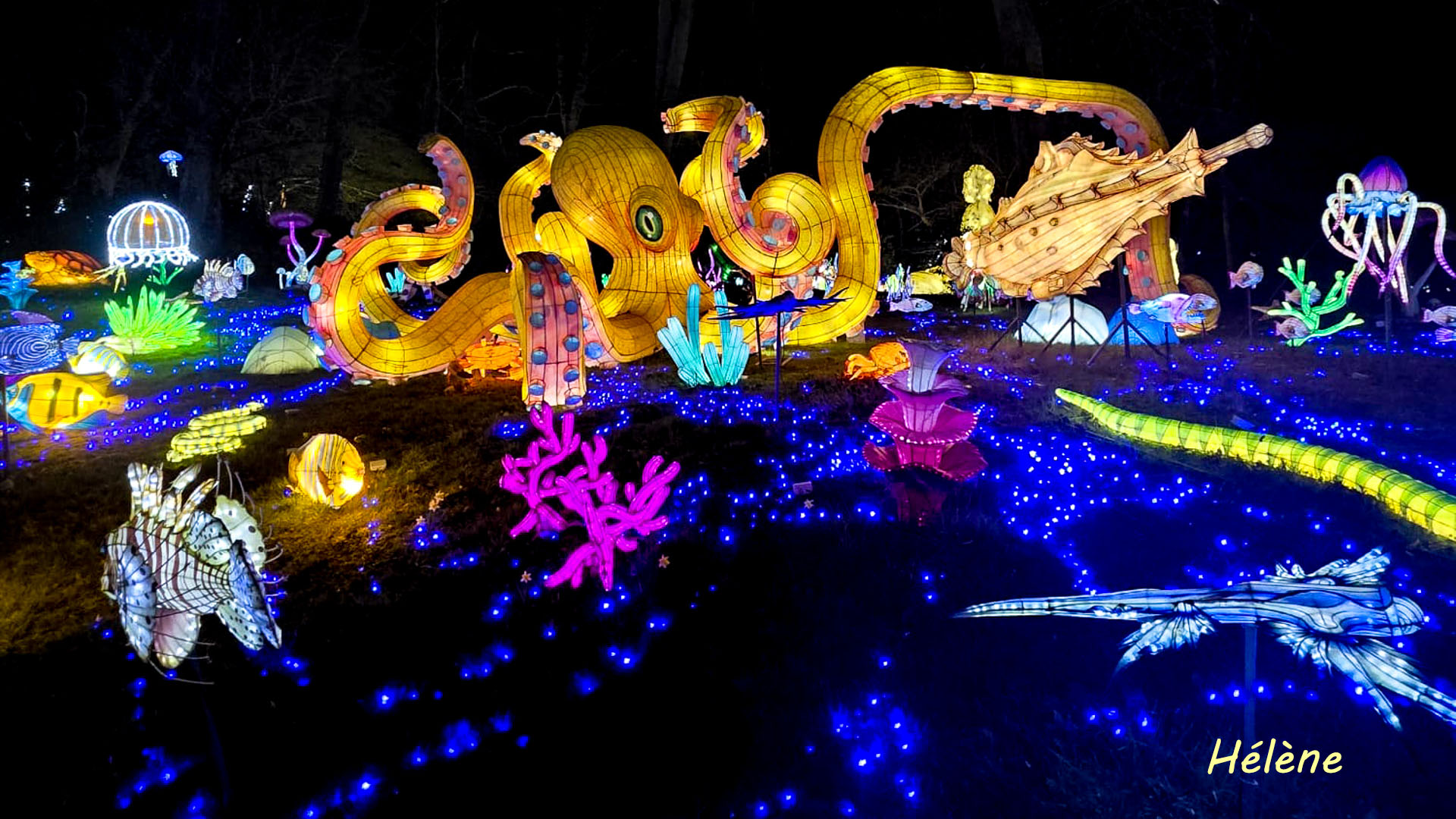 THOIRY -Illumination ,  Lumières sauvages 2025-2026